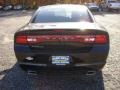 Brilliant Black Crystal Pearl - Charger SE Photo No. 5