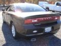 Brilliant Black Crystal Pearl - Charger SE Photo No. 6
