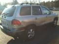 Smart Silver - Santa Fe GLS 4WD Photo No. 4