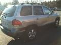 2005 Smart Silver Hyundai Santa Fe GLS 4WD  photo #4