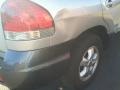 Smart Silver - Santa Fe GLS 4WD Photo No. 5