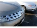 Polished Pewter Metallic - Murano SL AWD Photo No. 20
