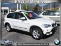 Alpine White - X5 3.0si Photo No. 1