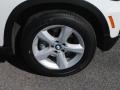 Alpine White - X5 3.0si Photo No. 2