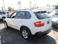 Alpine White - X5 3.0si Photo No. 9