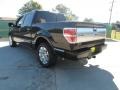 2009 Black Ford F150 Platinum SuperCrew  photo #5