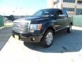 Black - F150 Platinum SuperCrew Photo No. 7