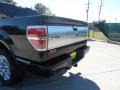 2009 Black Ford F150 Platinum SuperCrew  photo #20