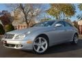 Iridium Silver Metallic - CLS 500 Photo No. 1