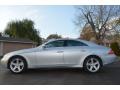 Iridium Silver Metallic - CLS 500 Photo No. 3