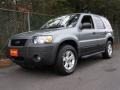 2006 Titanium Green Metallic Ford Escape XLT V6 4WD  photo #1