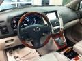 Tungsten Pearl - RX 350 AWD Photo No. 9