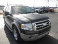Stone Green Metallic - Expedition Eddie Bauer 4x4 Photo No. 2