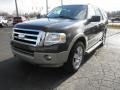 Stone Green Metallic - Expedition Eddie Bauer 4x4 Photo No. 3