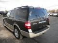 Stone Green Metallic - Expedition Eddie Bauer 4x4 Photo No. 20