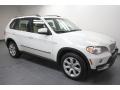 Alpine White - X5 4.8i Photo No. 4
