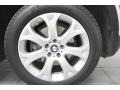 Alpine White - X5 4.8i Photo No. 5
