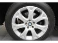 Alpine White - X5 4.8i Photo No. 8