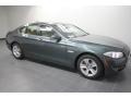 2012 Tasman Green Metallic BMW 5 Series 528i Sedan  photo #4