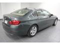 2012 Tasman Green Metallic BMW 5 Series 528i Sedan  photo #6