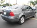 Platinum Grey Metallic - Jetta GLS Sedan Photo No. 9