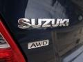2010 Suzuki Kizashi SLS AWD Marks and Logos