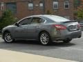 Dark Slate Metallic - Maxima 3.5 SV Photo No. 13