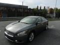 Dark Slate Metallic - Maxima 3.5 SV Photo No. 18