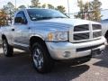 2004 Bright Silver Metallic Dodge Ram 1500 SLT Regular Cab 4x4  photo #4
