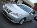 Tungsten Silver Pearl - ES 350 Photo No. 9