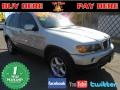 2003 Titanium Silver Metallic BMW X5 4.4i  photo #1