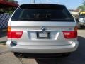 2003 Titanium Silver Metallic BMW X5 4.4i  photo #7