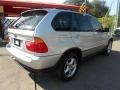 2003 Titanium Silver Metallic BMW X5 4.4i  photo #8