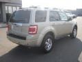 Gold Leaf Metallic - Escape Limited 4WD Photo No. 6