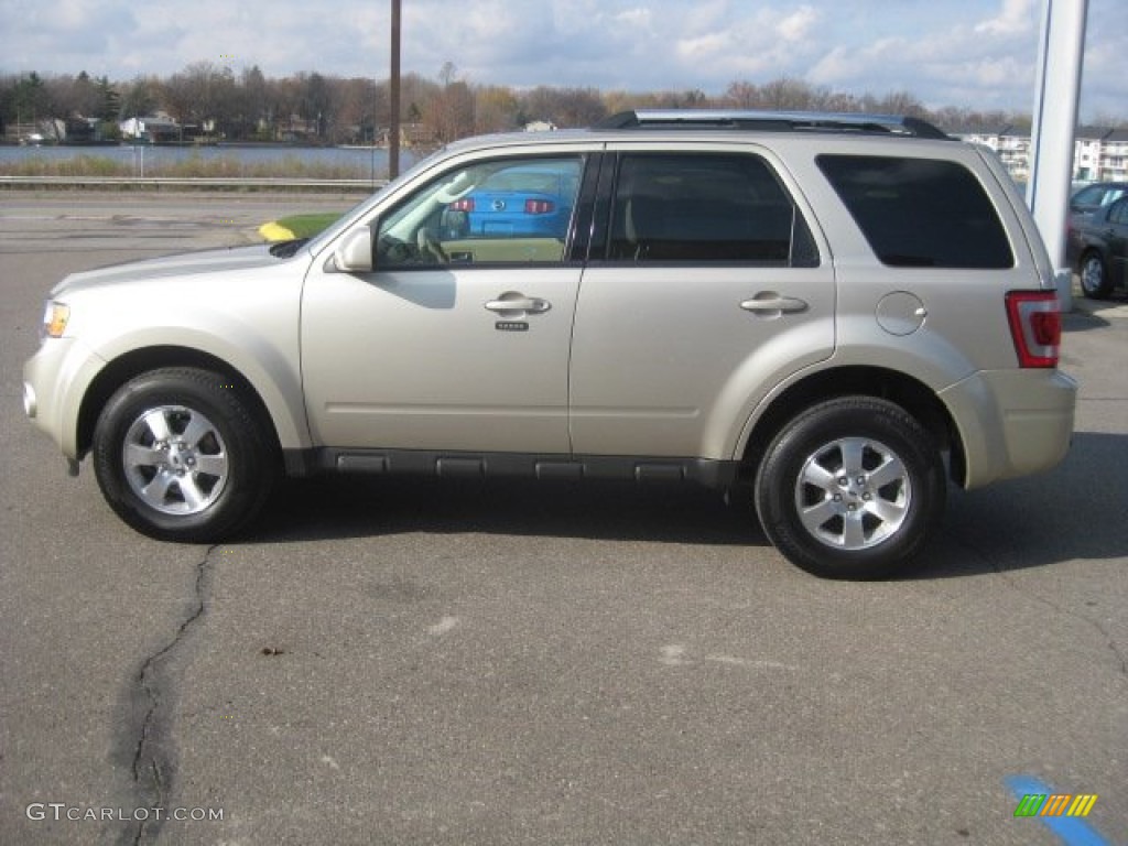 Gold Leaf Metallic 2010 Ford Escape Limited 4WD Exterior Photo #56378437