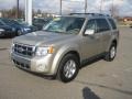 Gold Leaf Metallic 2010 Ford Escape Limited 4WD Exterior