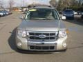 Gold Leaf Metallic - Escape Limited 4WD Photo No. 11