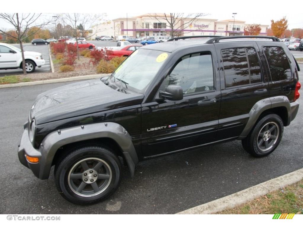 Black Clearcoat Jeep Liberty