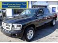 Brilliant Black Crystal Pearl 2010 Dodge Dakota Big Horn Crew Cab 4x4