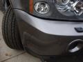 2008 Stornoway Grey Metallic Land Rover Range Rover Sport HSE  photo #11