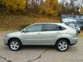 Bamboo Green Pearl - RX 350 AWD Photo No. 2