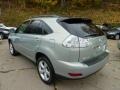 Bamboo Green Pearl - RX 350 AWD Photo No. 3