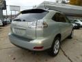 Bamboo Green Pearl - RX 350 AWD Photo No. 5