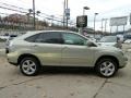 Bamboo Green Pearl - RX 350 AWD Photo No. 6
