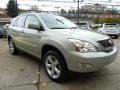 Bamboo Green Pearl - RX 350 AWD Photo No. 7