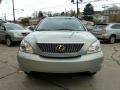 Bamboo Green Pearl - RX 350 AWD Photo No. 8