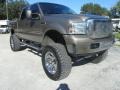 2006 Arizona Beige Metallic Ford F250 Super Duty Lariat Crew Cab 4x4  photo #5