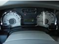 Stone Gauges Photo for 2012 Ford Expedition #56400163