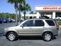 2005 Sahara Sand Metallic Honda CR-V Special Edition 4WD  photo #2
