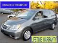 Nimbus Gray Metallic - Odyssey EX-L Photo No. 1